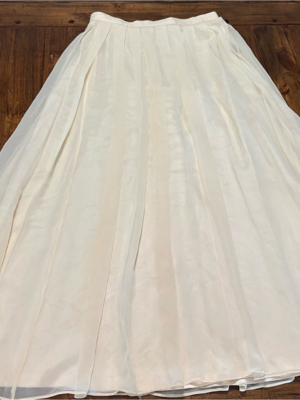 Vintage 90s 100% Silk Maxi Lined Skirt Pleated Sheer Fairy Romantic Sz 6/8